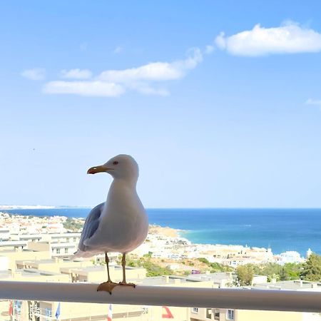 Apartment Les 3 Dauphins In อัลบูเฟรา ภายนอก รูปภาพ